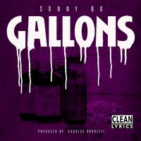 Gallons - Single