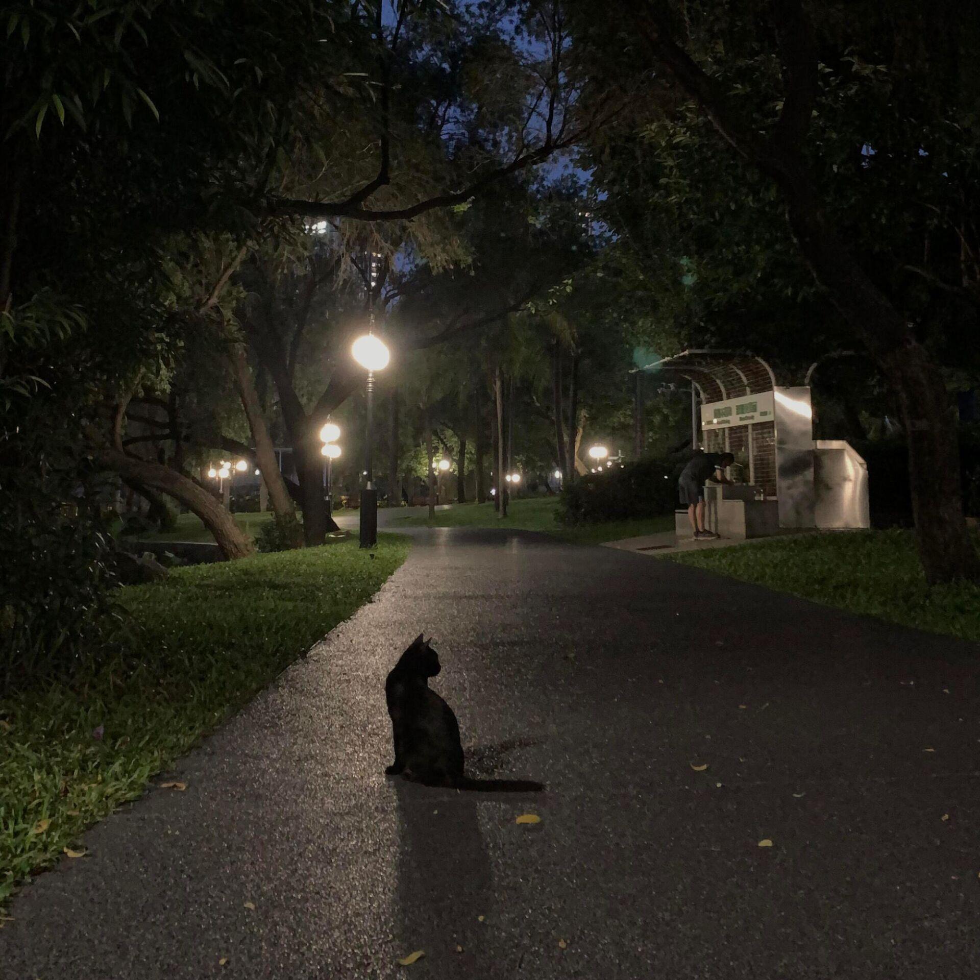 一半一半（温柔男声）