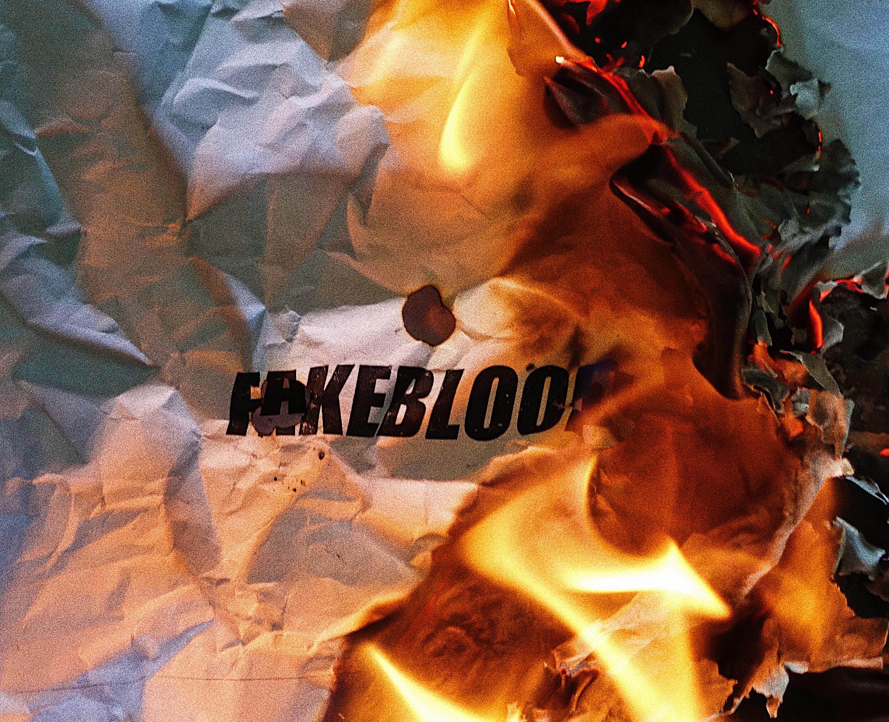 假血FakeBlood