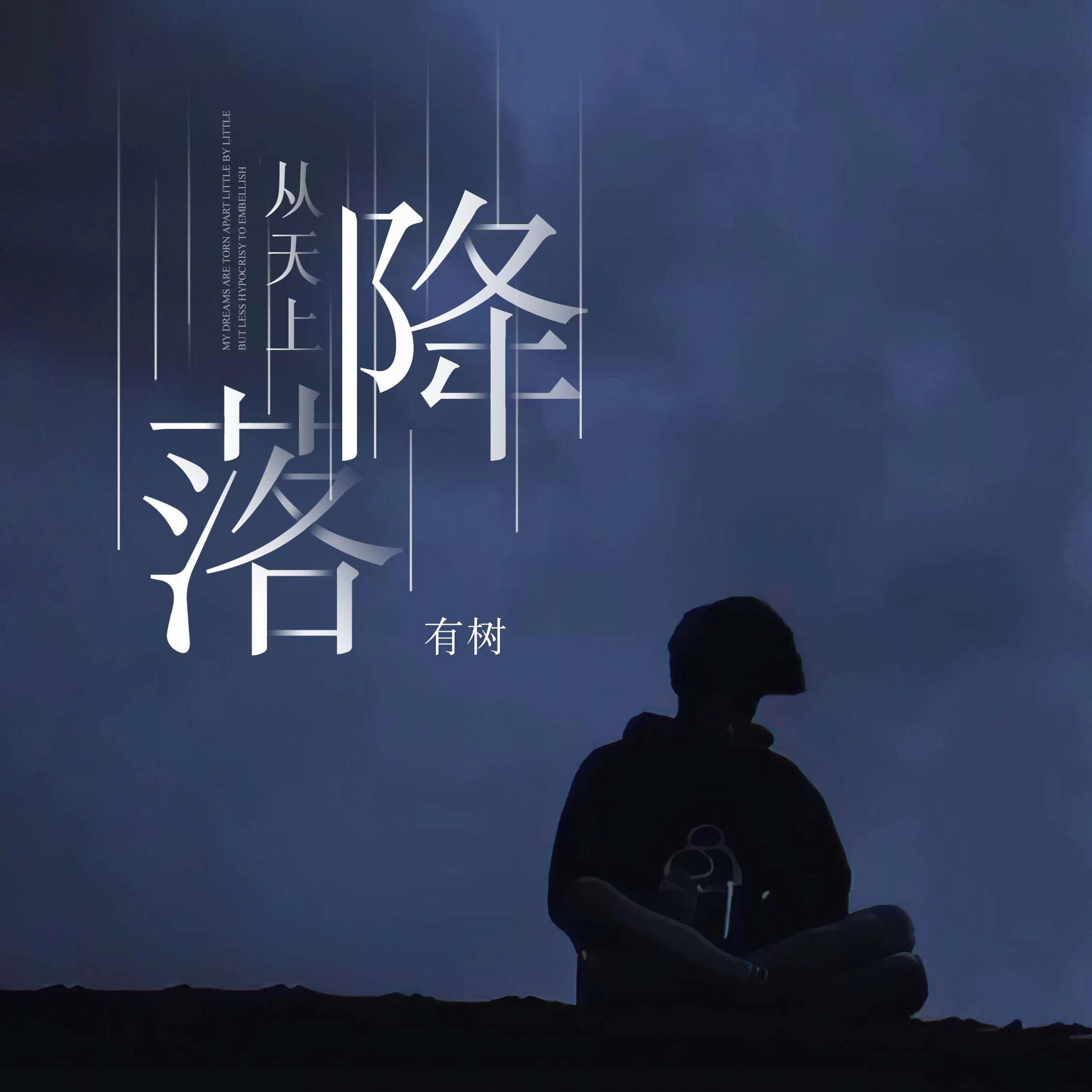 从天上降落 (和声伴奏)封面