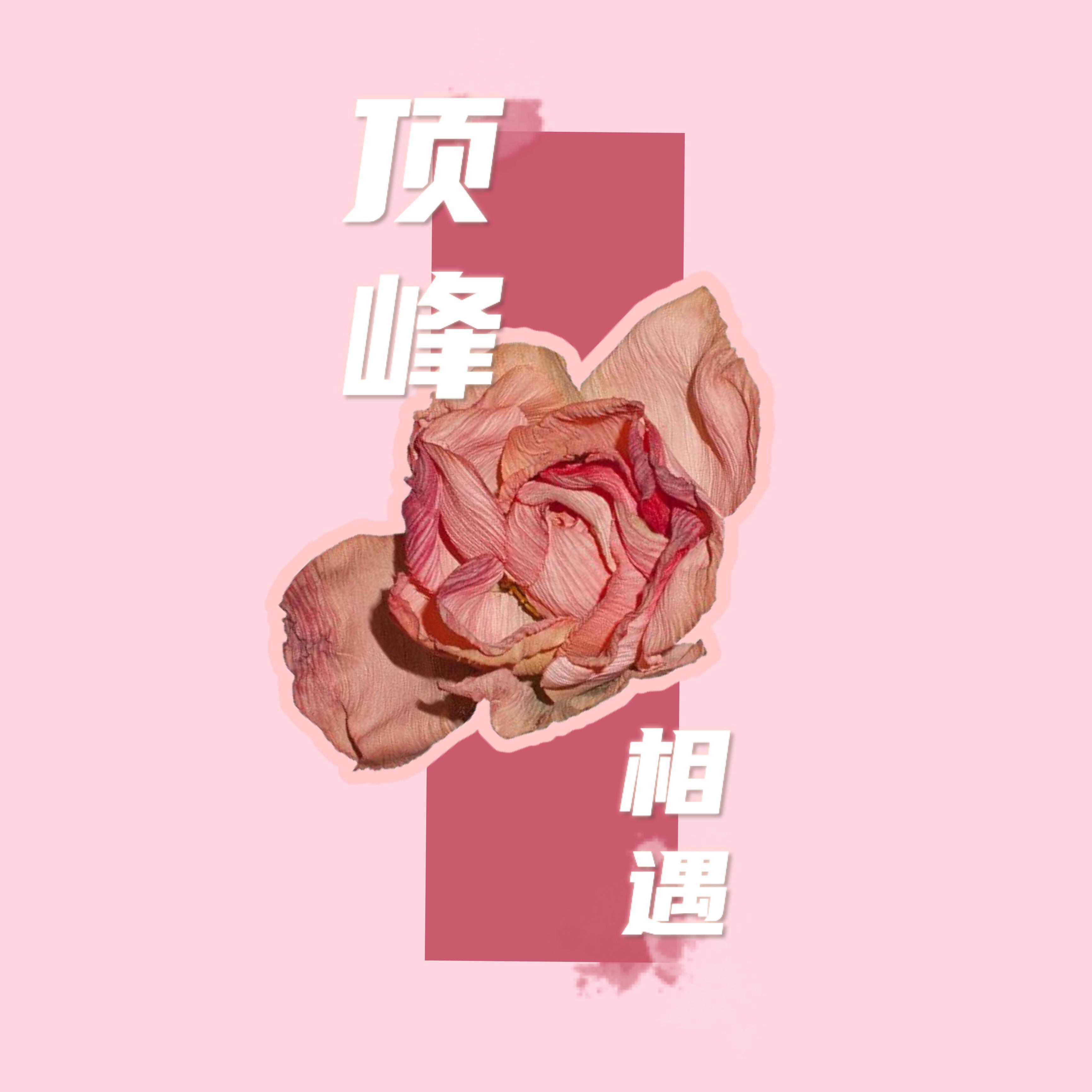 顶峰相遇_透明磕学家_同人曲《顶峰相遇》 | 在线播放_顶峰相遇歌词_顶峰相遇下载 | 网易云音乐