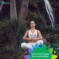 Grow Every Single Day and Meditate