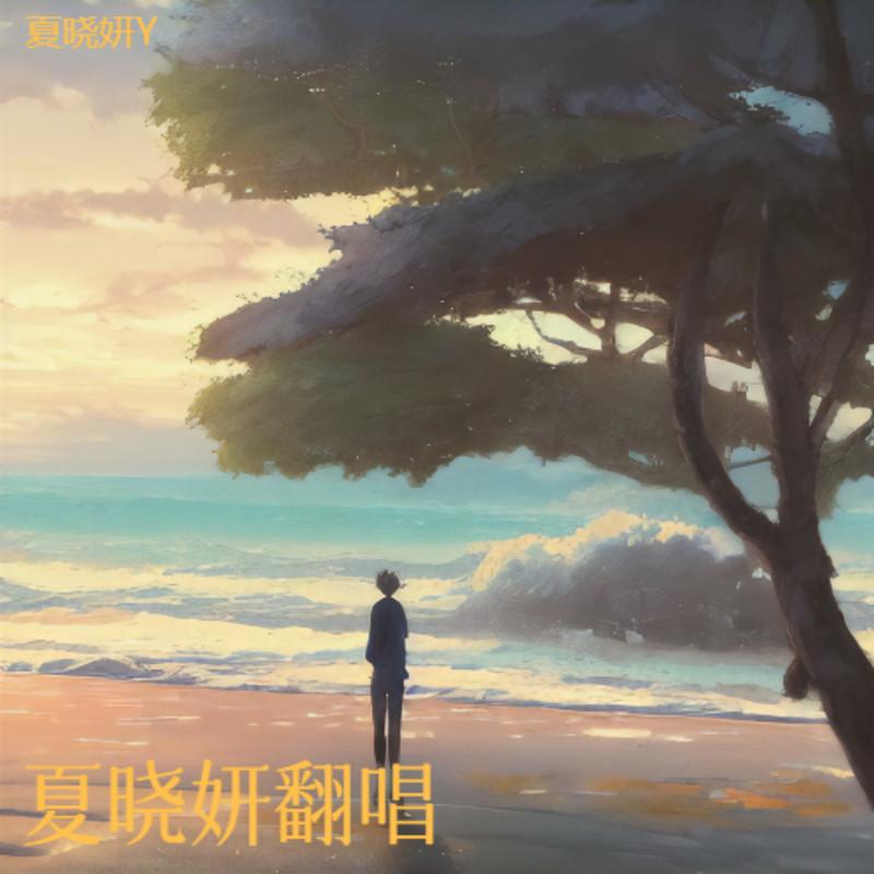 廉价的过客封面