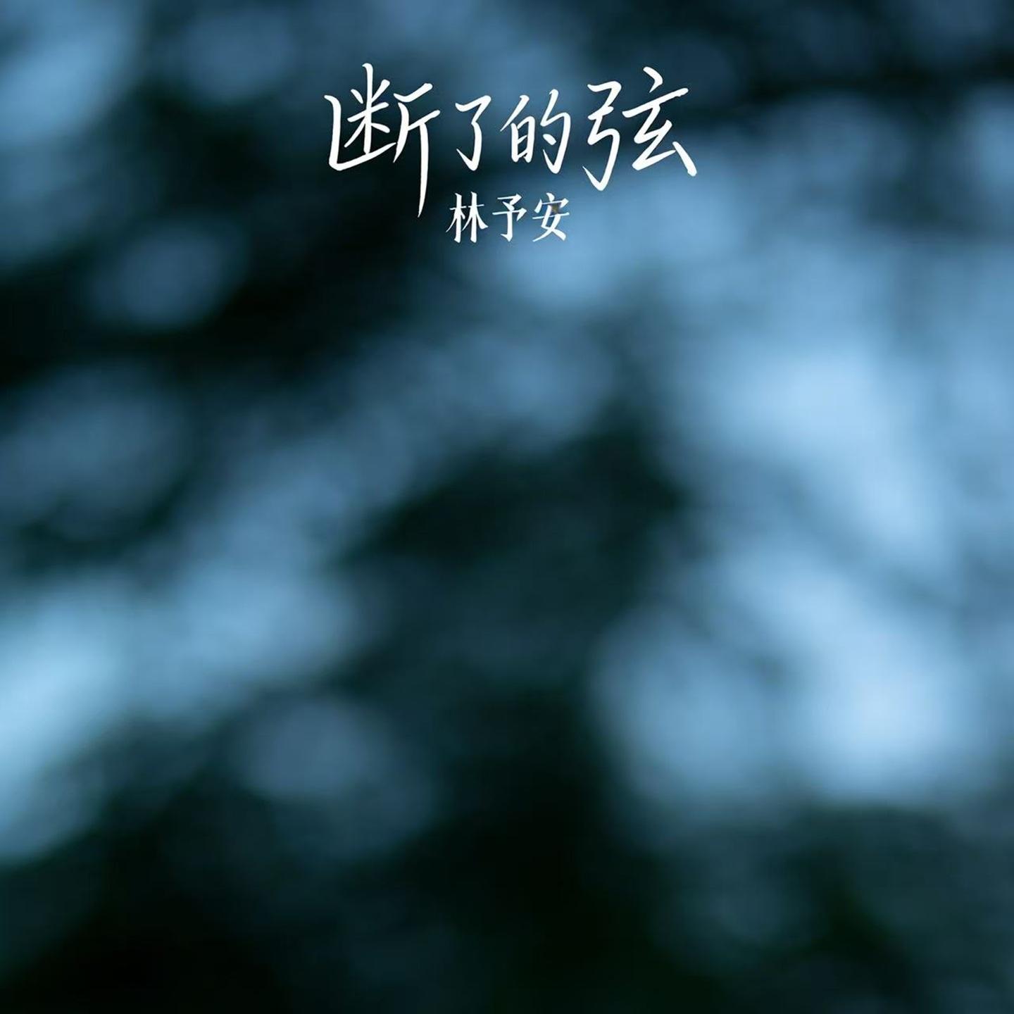 断了的弦封面