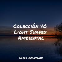 Colección 40 Light Suaves Ambiental