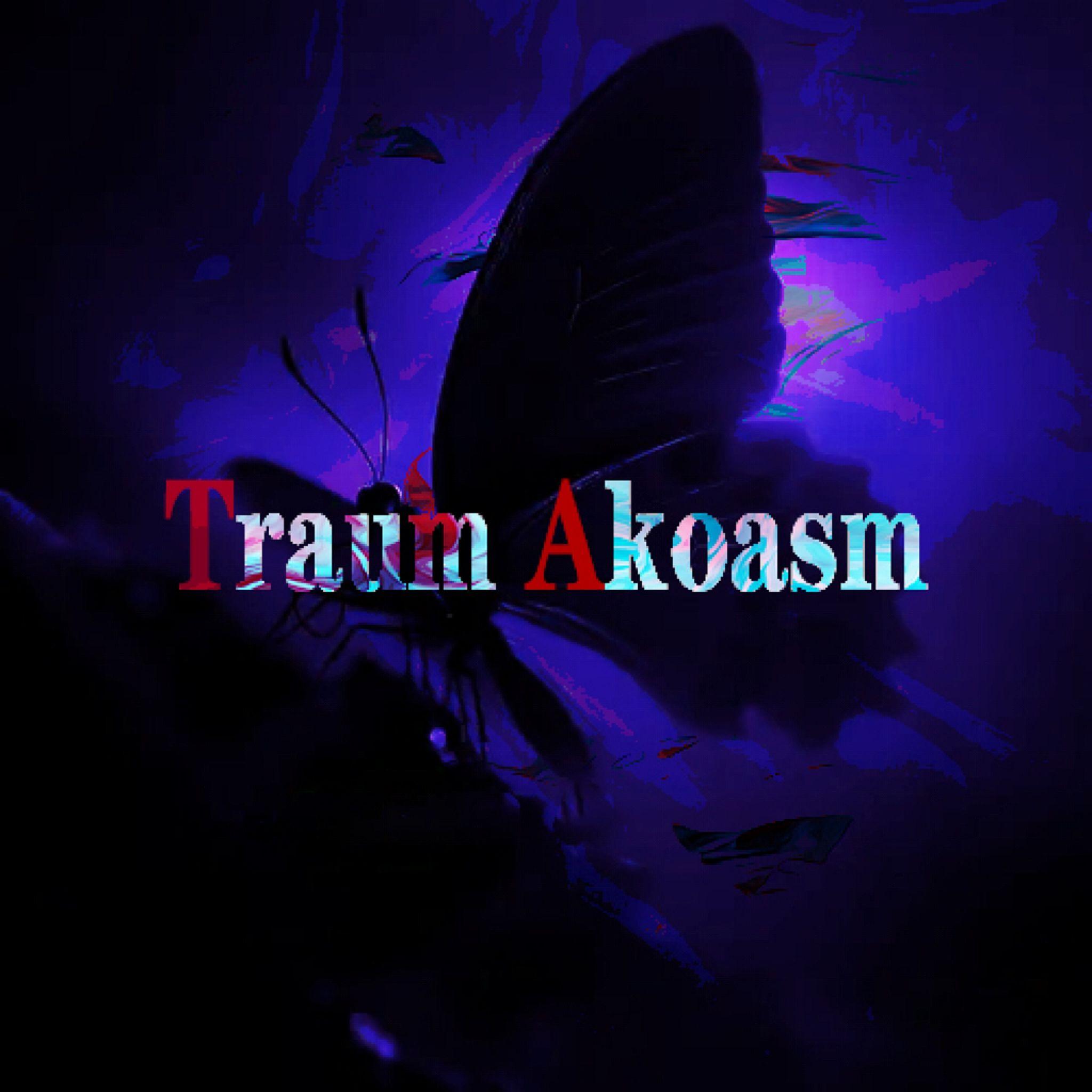 Traum Akoasm封面