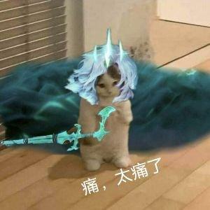 云村村民16939344471540