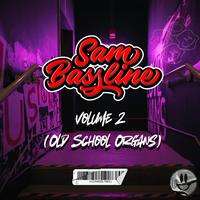 Volume 2 (Old School Organs)