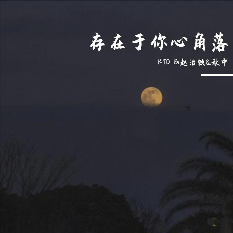 存在于你心角落封面