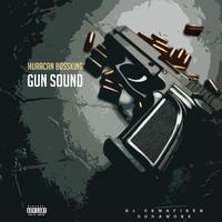 Gun Sound