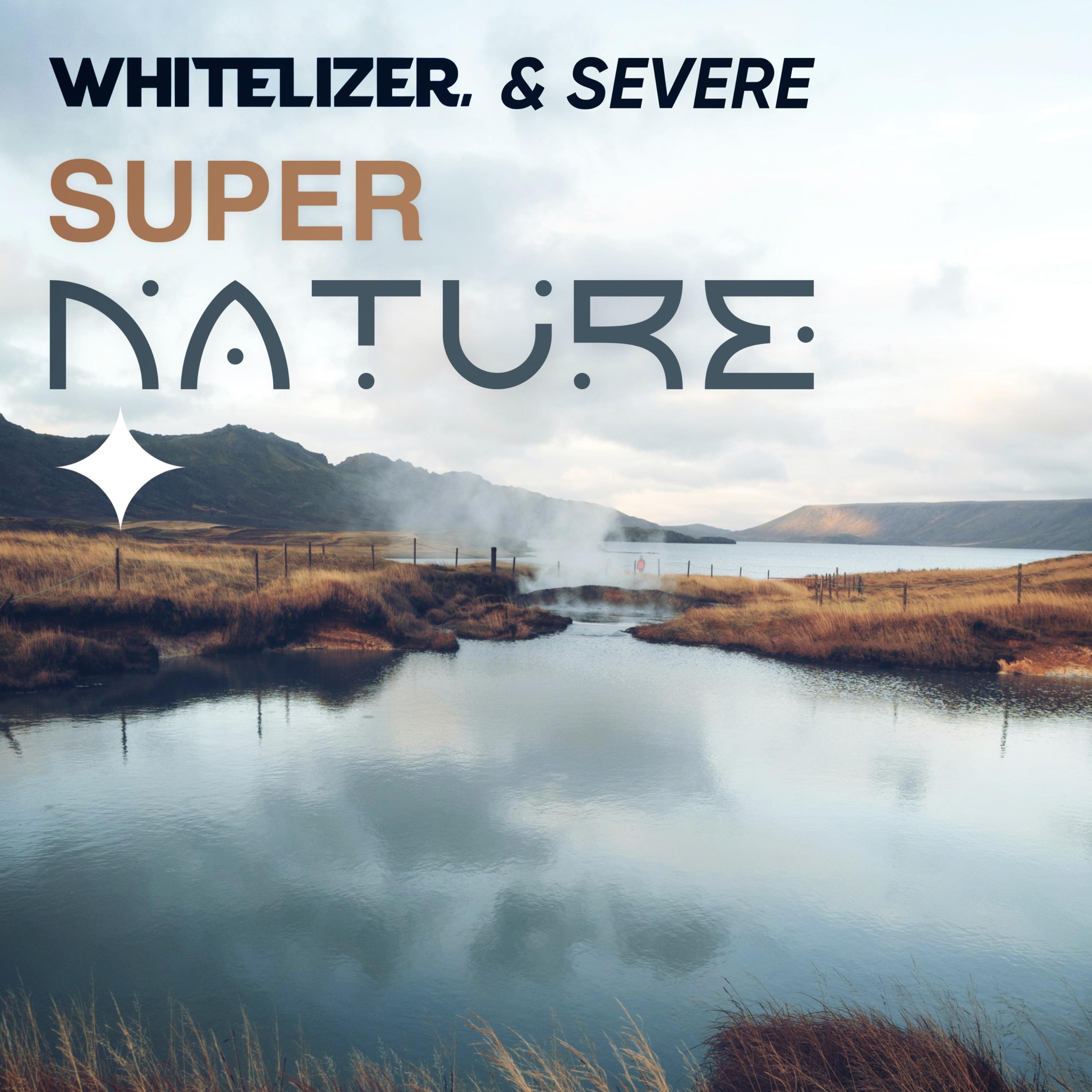 Super Nature (Remix)