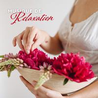 Musique de Relaxation - une Collection de 15 Meilleures Pistes pour la Détente, la Relaxation, le Soulagement du Stress et la Tranquillité