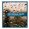 Rain Roots Nature Music - Horrible Rain Aftermath