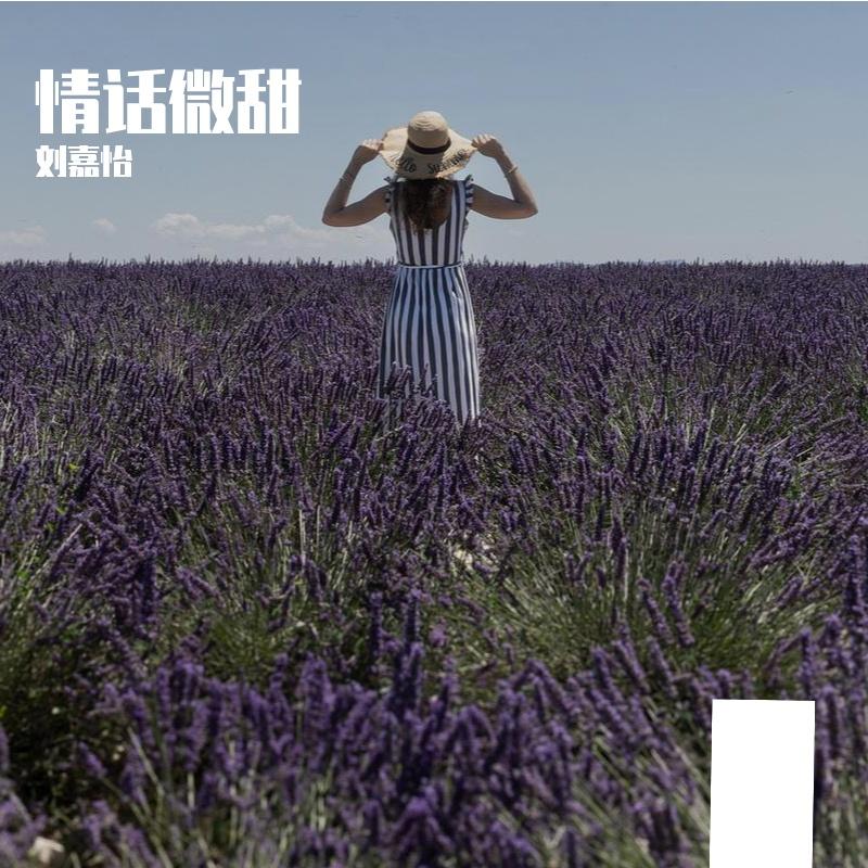 爱逝枷锁封面