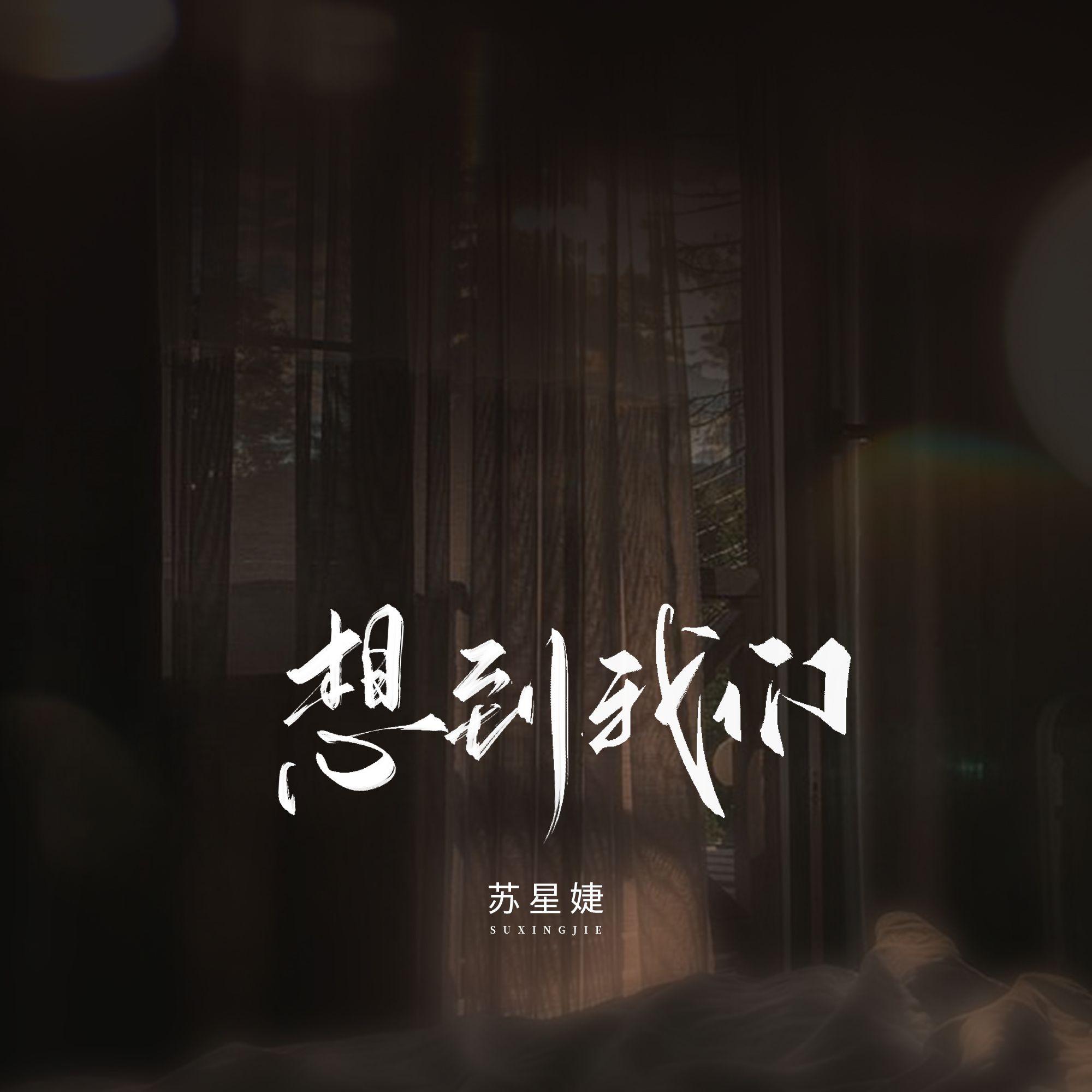 想到我们 - 苏星婕封面
