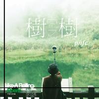 树中之树 | from 诗人商禽 —《滚动的诗》音乐纪实 (feat. 南瓜妮歌迷俱乐部)