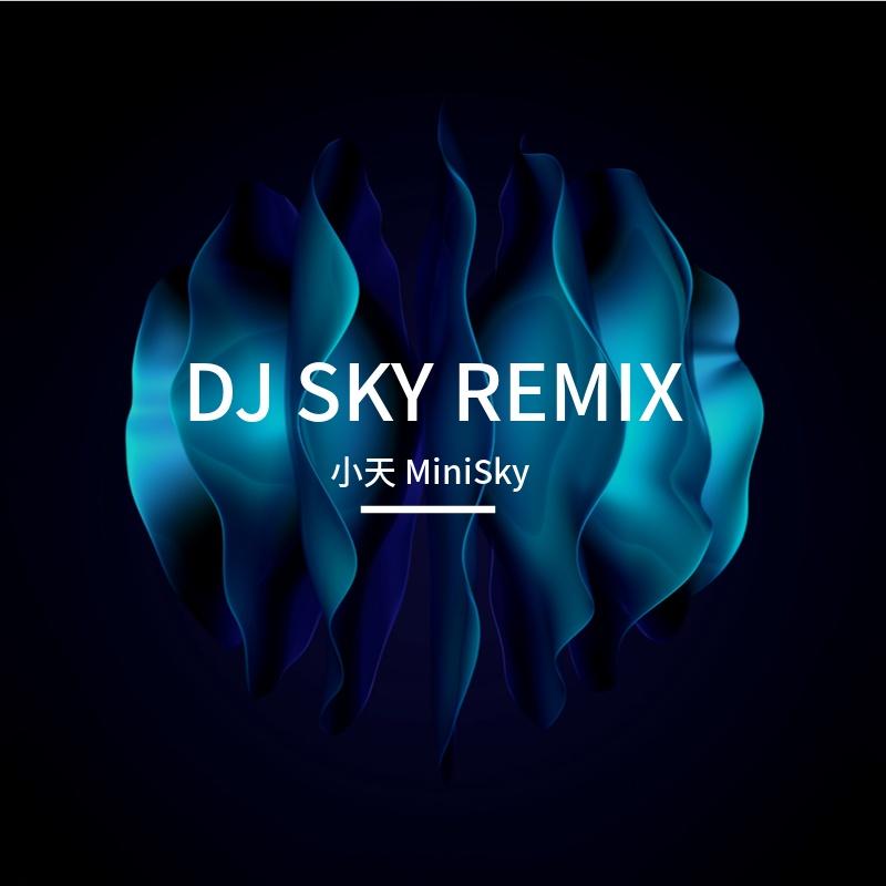 忍者（周杰伦） SKY Poppin Remix