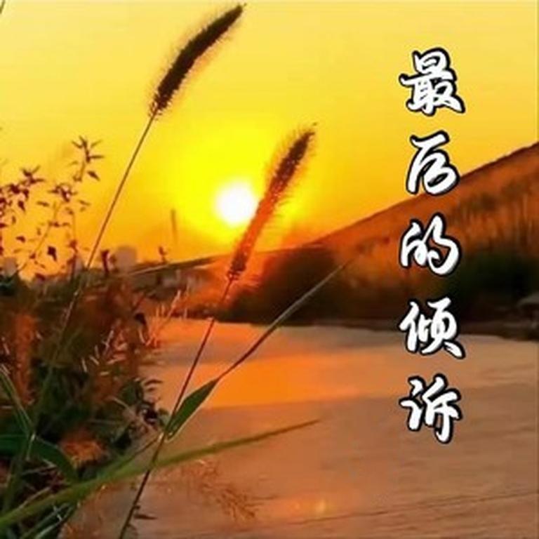 最后的倾诉封面
