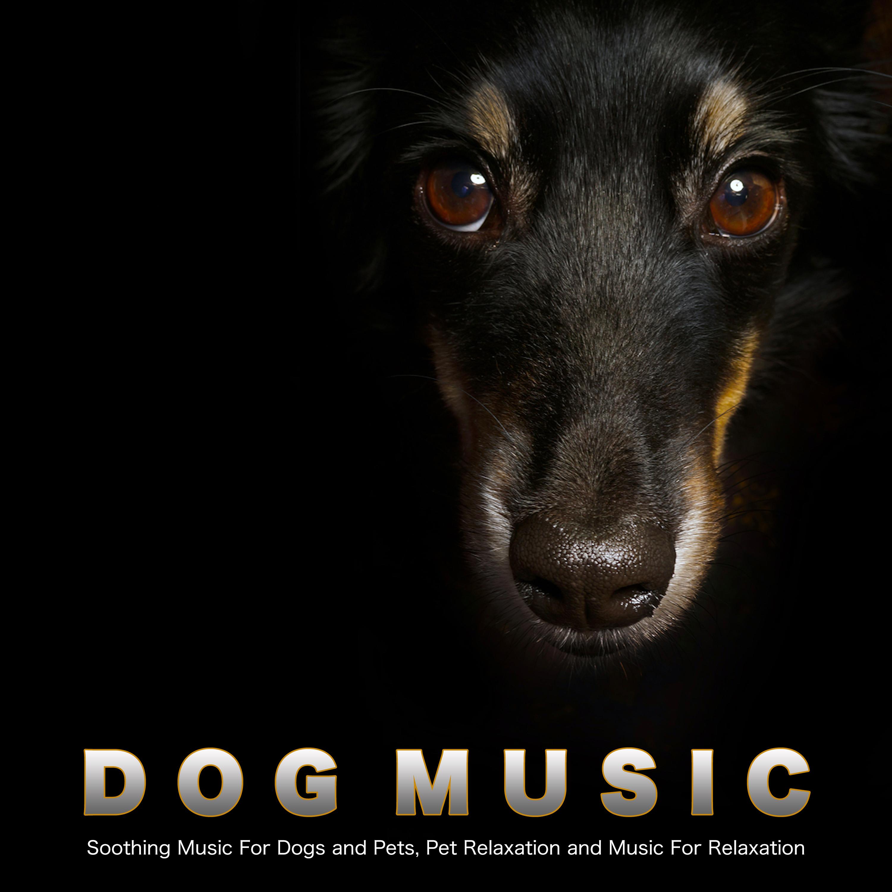 Music For Dogs