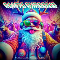 Santa Shrooms