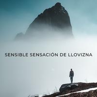 Sensible Sensación De Llovizna