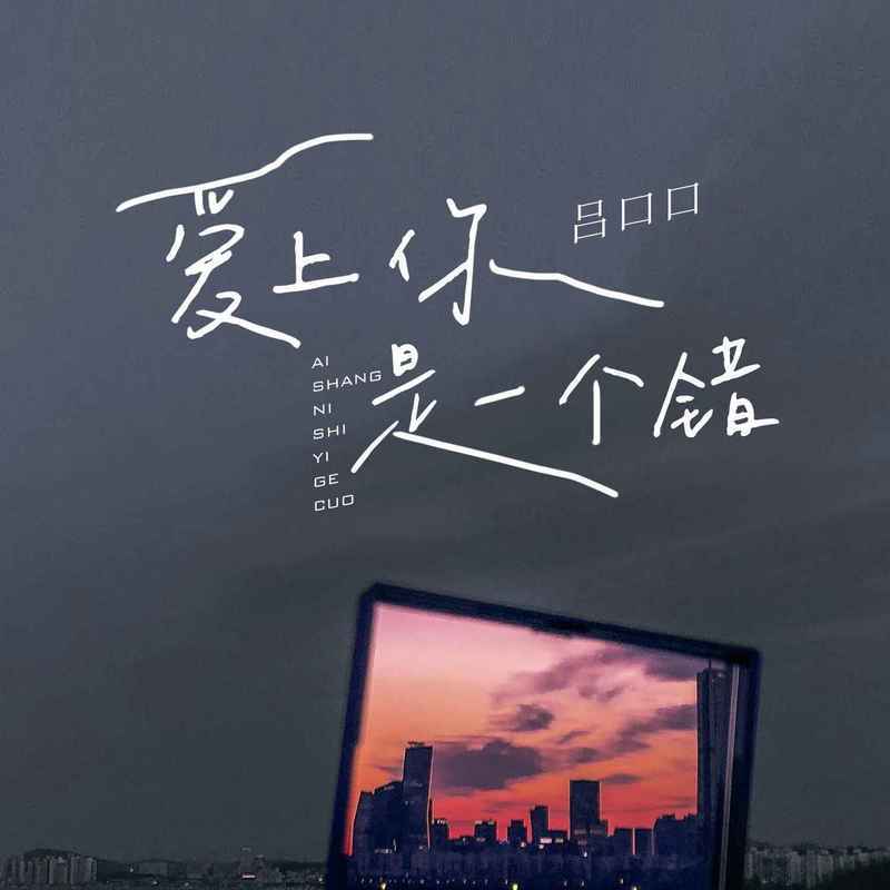 爱上你是一个错(DJ伴奏版)封面