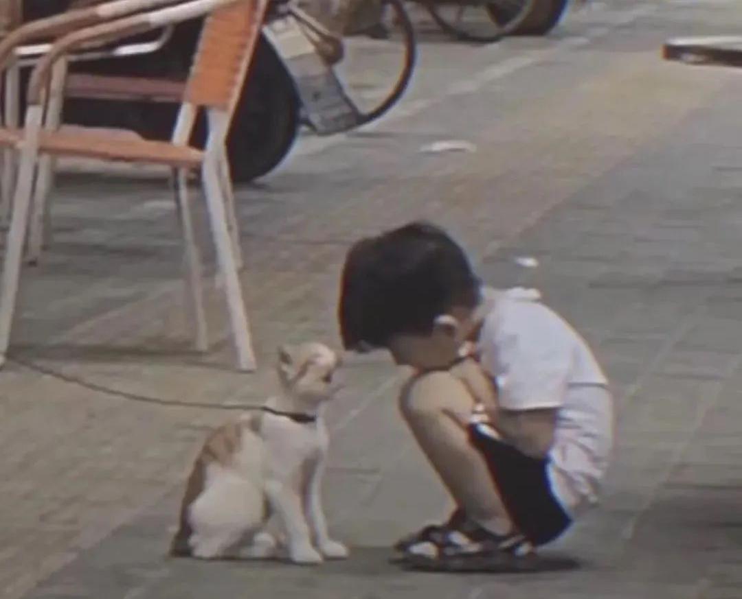 悬情