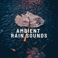 Ambient Rain Sounds