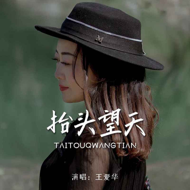 抬头问天 (伴奏) - 王爱华封面