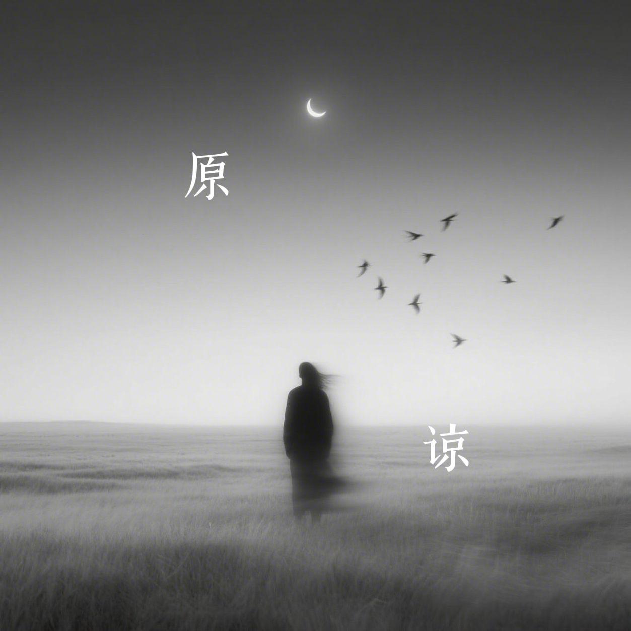 原谅（Live）封面