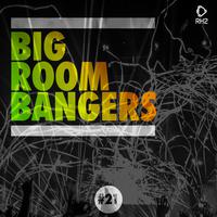 Big Room Bangers, Vol. 21