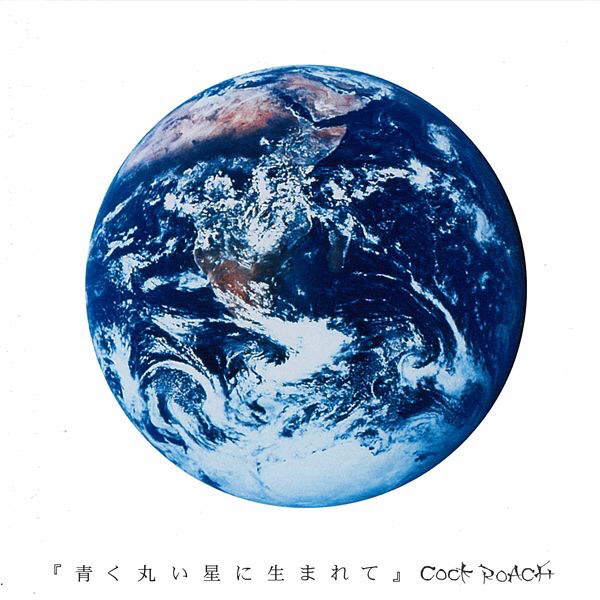 純心の目封面