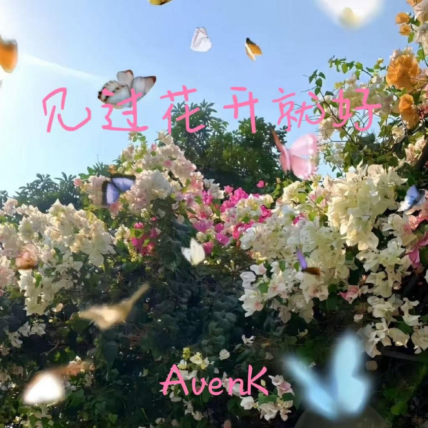 见过花开就好封面
