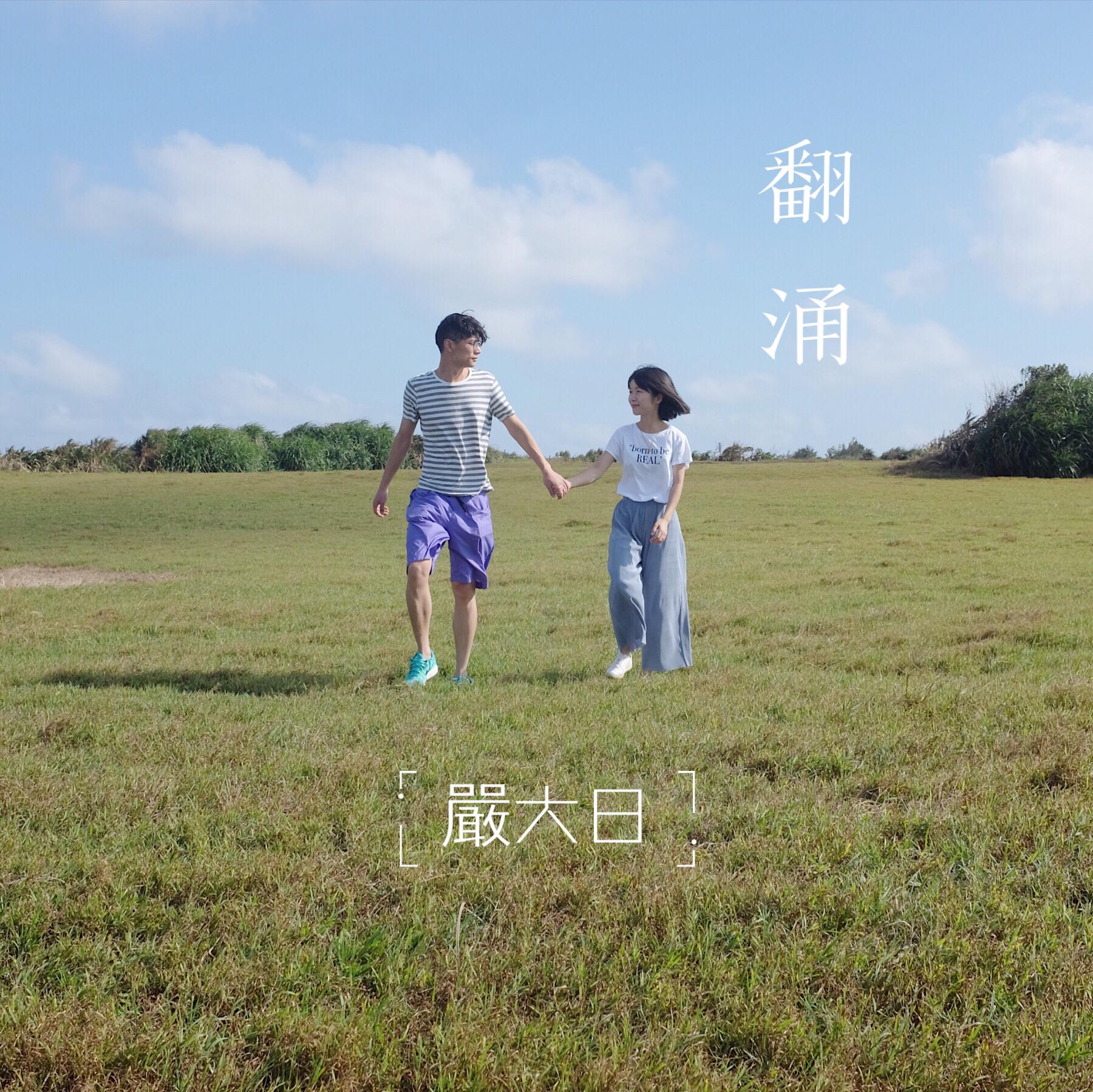 翻涌封面