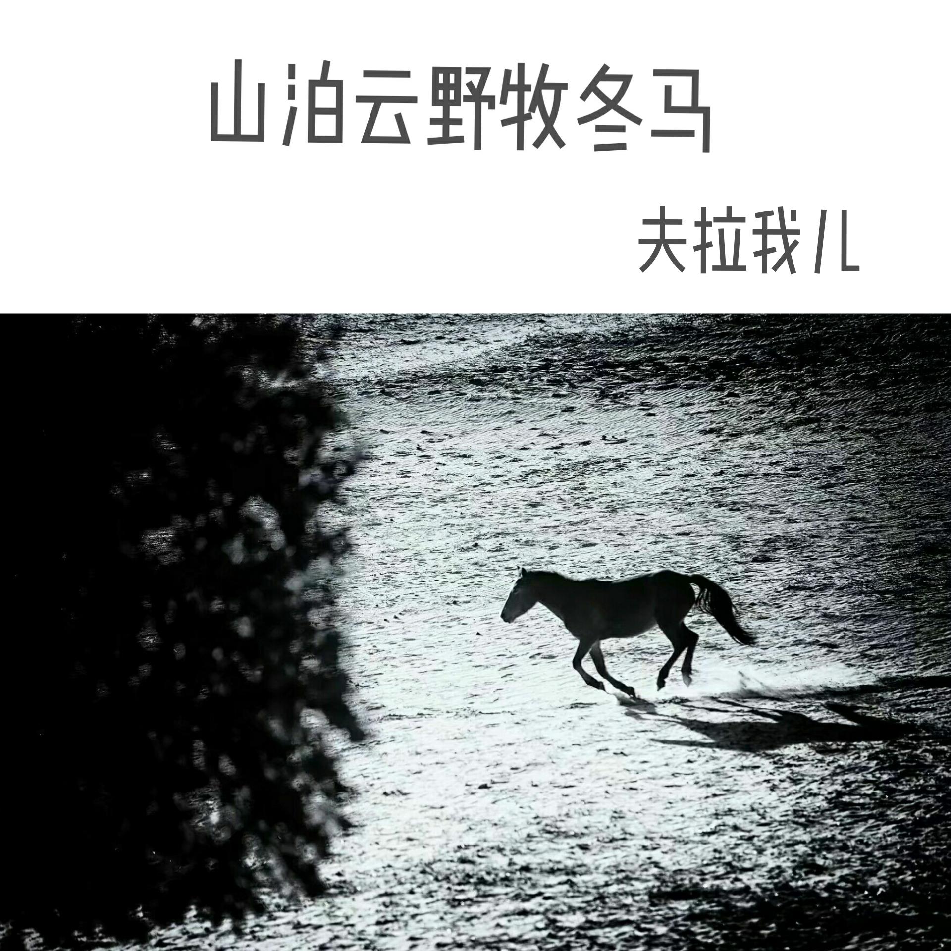 山泊云野牧冬马_张冶_山泊云野牧冬马 | 在线播放_山泊云野牧冬马歌词_山泊云野牧冬马下载 | 网易云音乐