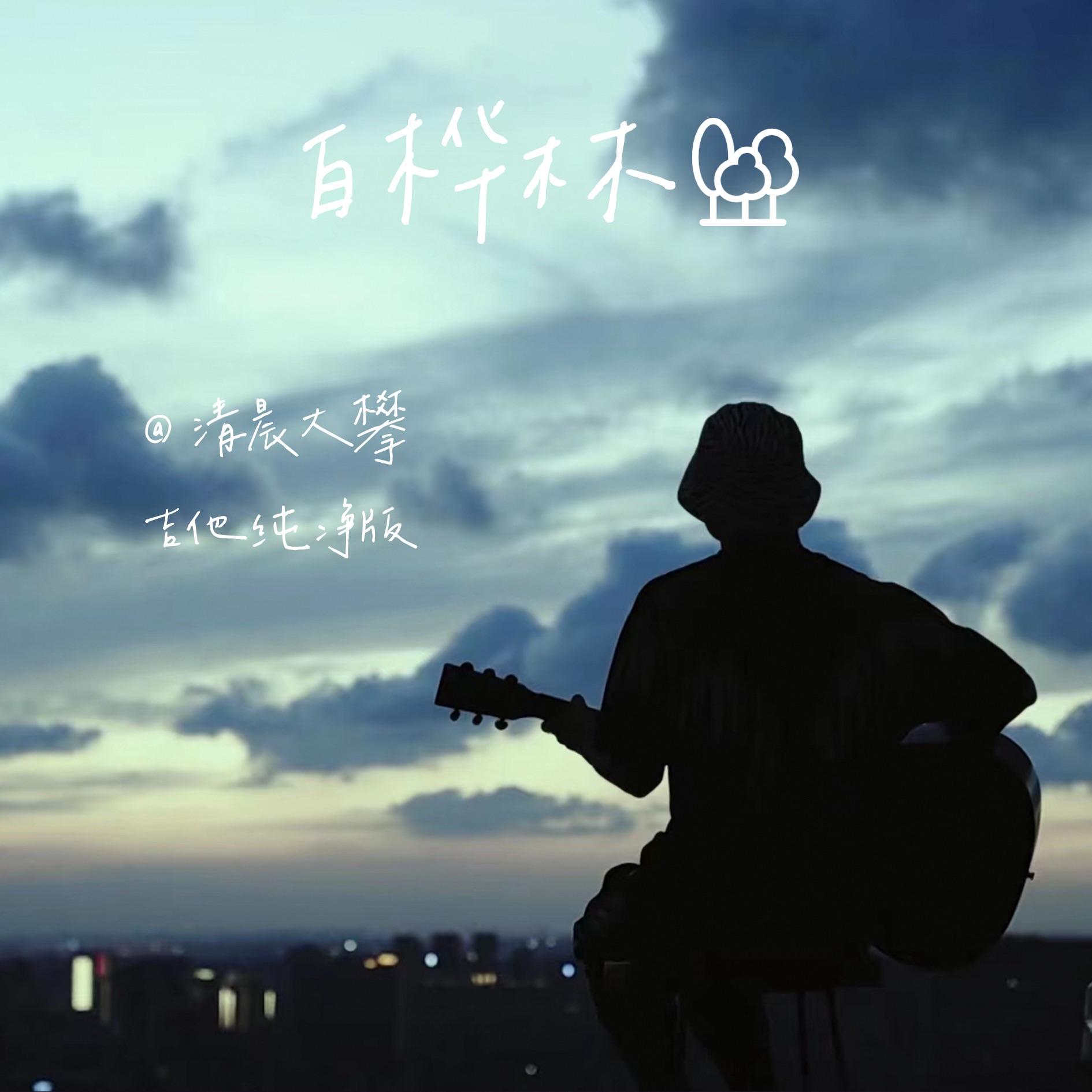 白桦林（吉他纯净版）