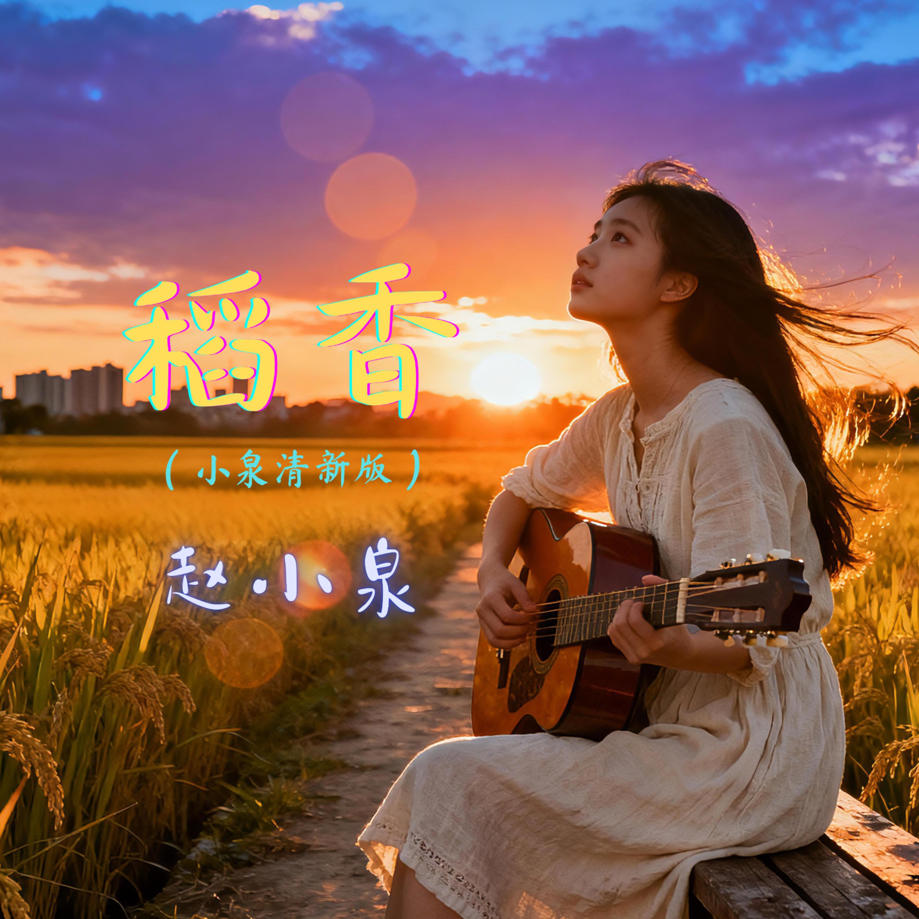 稻香（小泉清新版）封面