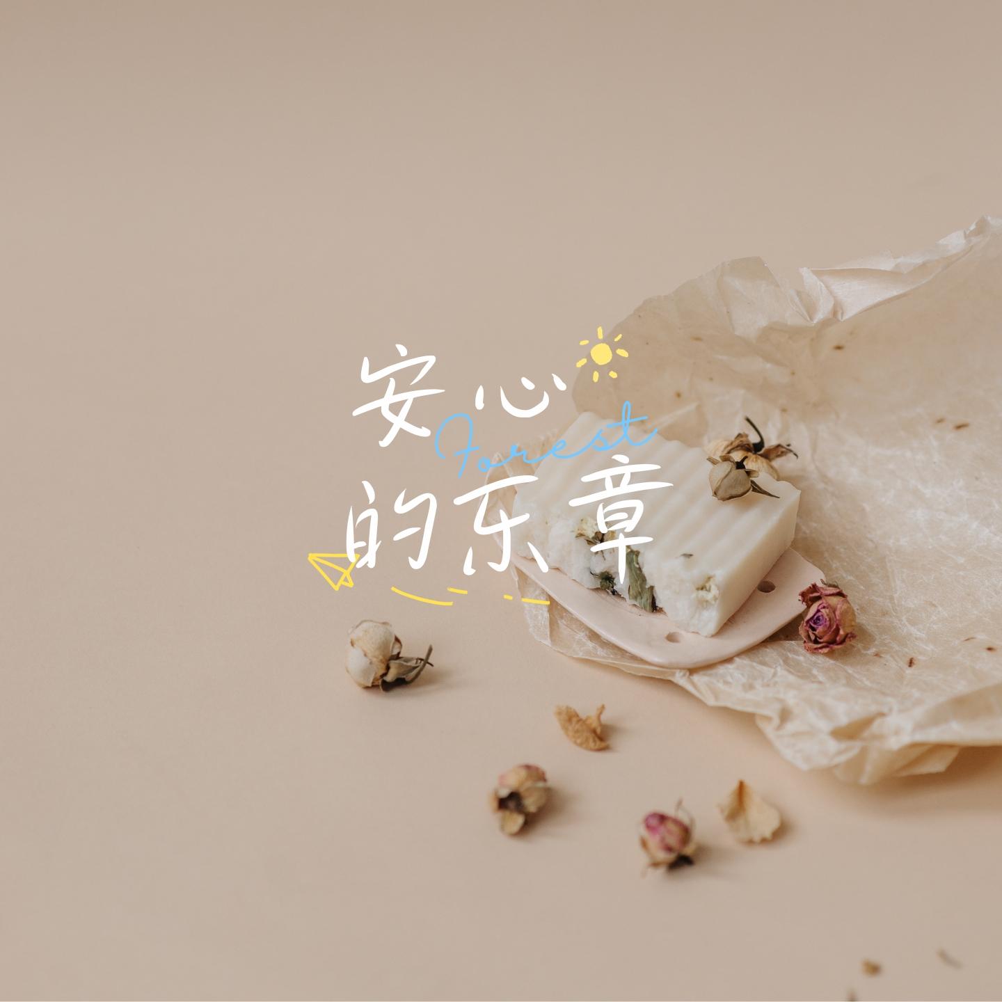 幸福的节拍 (孕期胎教)封面