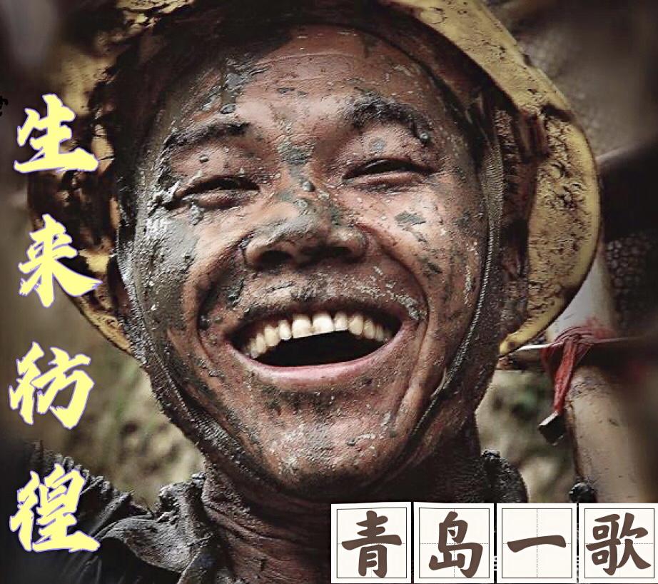 生来彷徨封面
