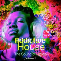 Addictive House, Vol. 1