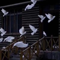 憾资料,憾最新歌曲,憾MV视频,憾音乐专辑,憾好听的歌