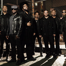 The Roots