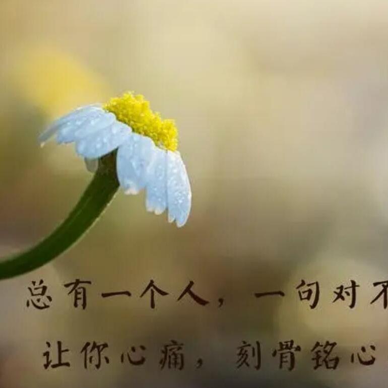 追过的梦_说云集_好听的歌 | 在线播放_追过的梦歌词_追过的梦下载 | 网易云音乐