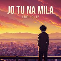 Jo Tu Na Mila (Lofi Flip)