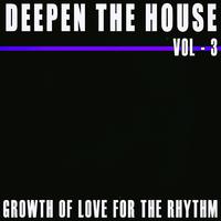 Deepen the House, Vol. 3