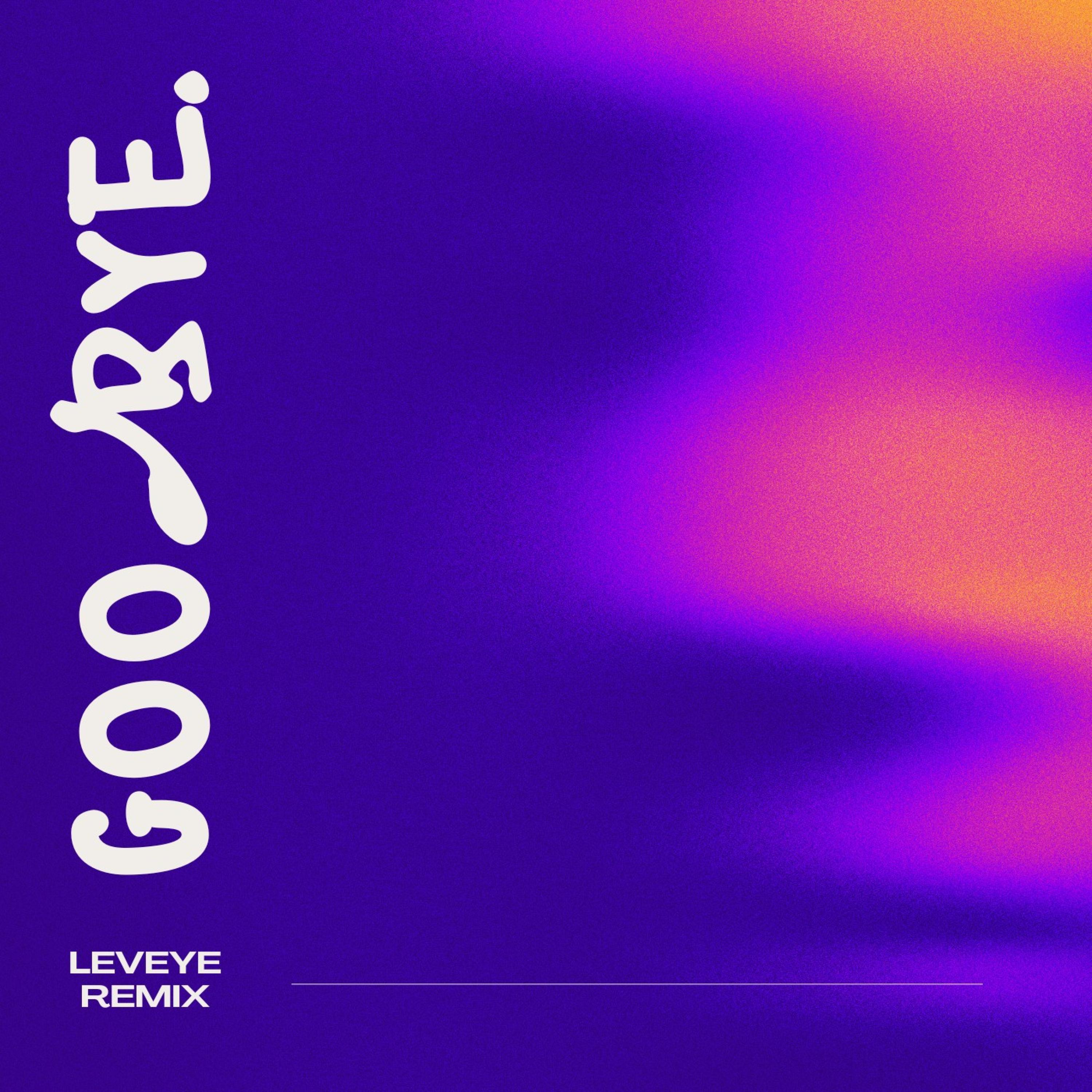 GOODBYE (Leveye Remix)