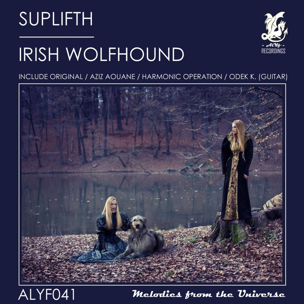 irish wolfhound (odek k. guitar mix)