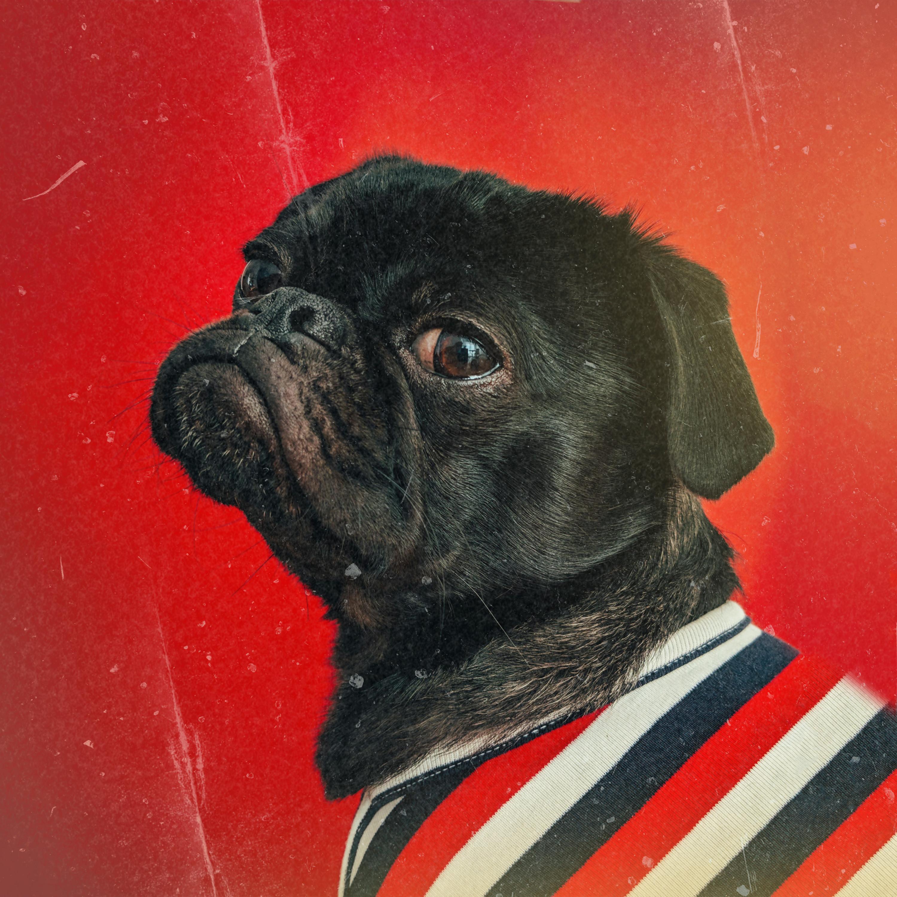 Make A Move (feat. Dj Mykael V)