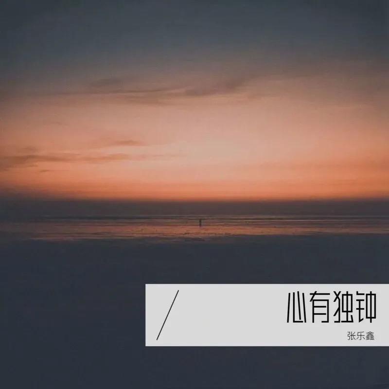 怀旧情人 - 张乐鑫封面