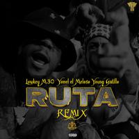 Ruta (feat. Yomel El Meloso & Young Gatillo) [Remix]